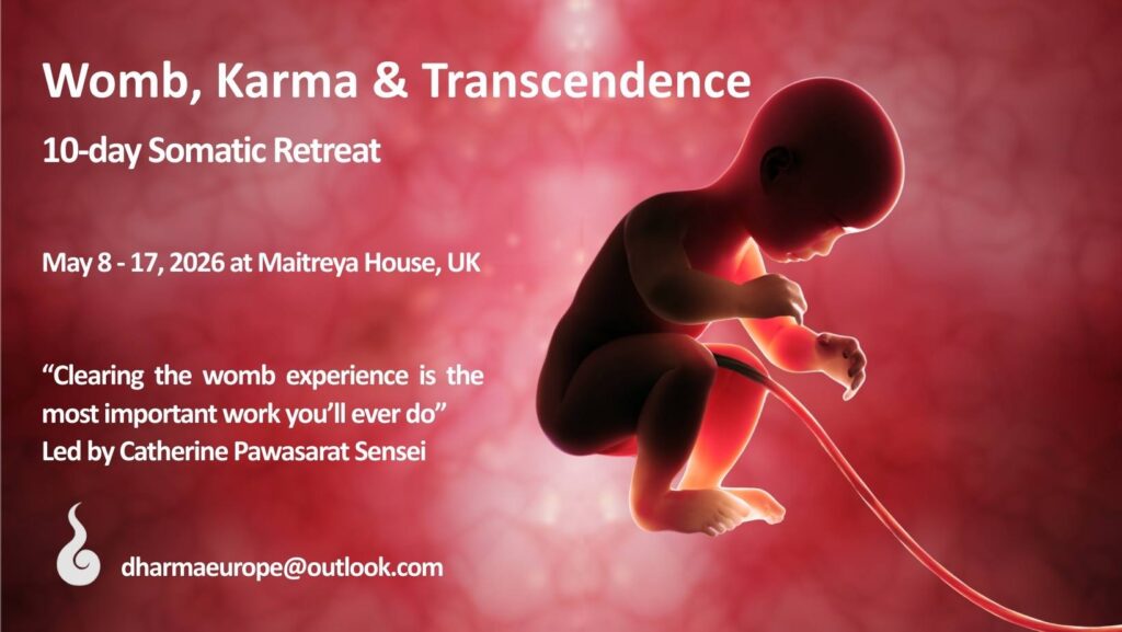 Womb, karma, transcendence, somatic retreat, maitreya house, Catherine Pawasarat, 2026, rebirthing, clearing the birth experience