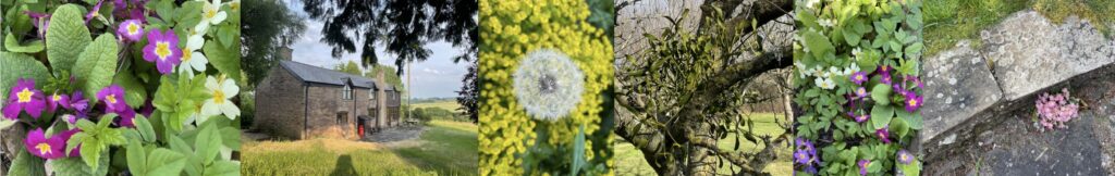 The birth journey, karma, Maitreya House, clearing birth trauma, rebirthing, somatic retreat, healing the womb experience, Catherine Pawasarat, Golden Valley, Zendo, Western Mysteries, Integral Theory, Movement shiatsu, shiatsu