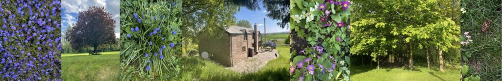 Somatic, retreat, meditation, Buddhism, birth, birth trauma, womb, karma, transcendence, integral theory, rebirth, rebirthing, kindred spirit