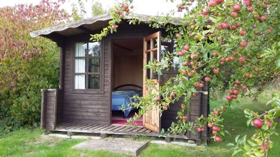 Cabin 1